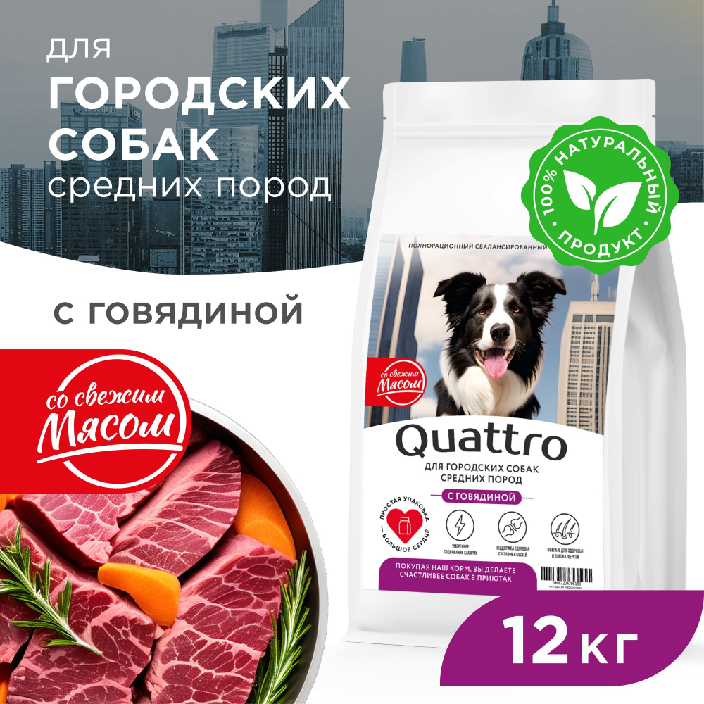 Корм сухой для взрослых собак средних пород, премиум полнорационный комплекс, для городских собак, с говядиной, 12 кг, QUATTRO