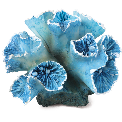Коралл искусственный "кауластрея", m, сине-белый, 90*85*50мм, laguna