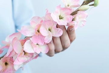 Дельфиниум малый - Светло-розовый