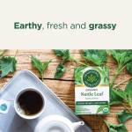 Traditional Medicinals, листья органической крапивы, без кофеина, 16 чайных пакетиков, 32 г (1,13 унции)