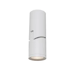 Потолочный светильник Труба / Tube 11 Вт 3000 К 90° Technical c019cw-01w
