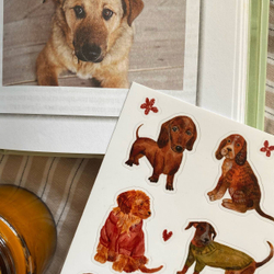 стикерпак «собачки» 🐶