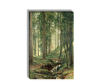 Ruchej v lesu (na kosogore), Shishkin Ivan Ivanovich, kartina (reprodukciya) stene.ru