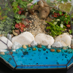 Флорариум бонсай Астероид с озером