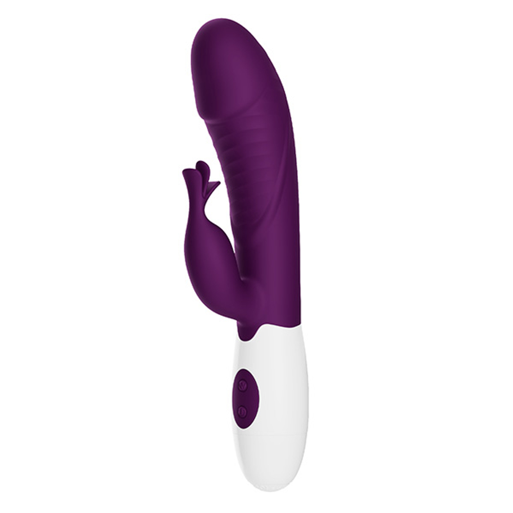 Фиолетовый вибратор-кролик 19,8см со стимулятором клитора Pretty Love Rasmussen Bunny Vibrator BW-500072-A2