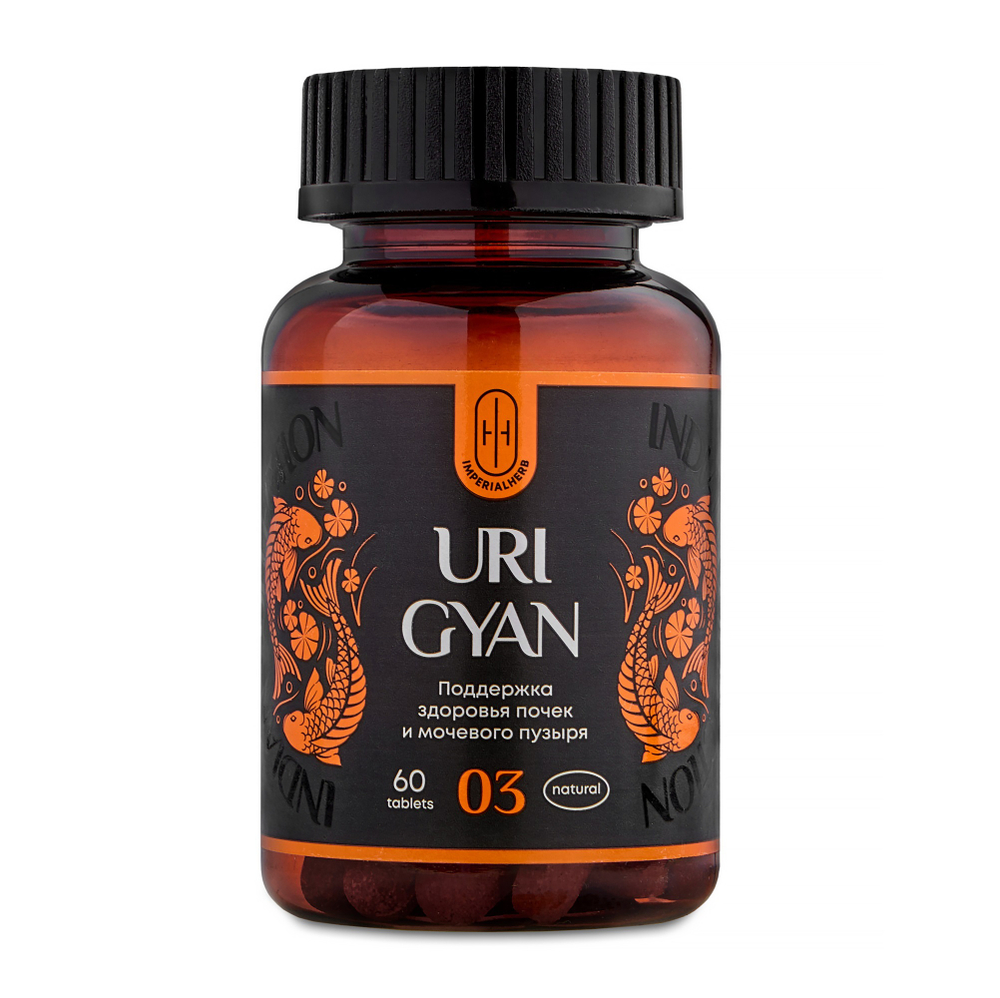 URI GYAN Аюрведический комплекс УРИ ГЯН Очищение почек 60шт