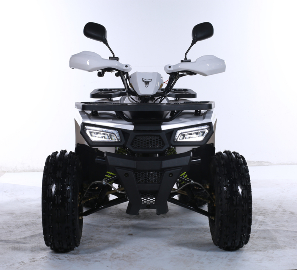 Квадроцикл TAO MOTOR HUNTER New 125