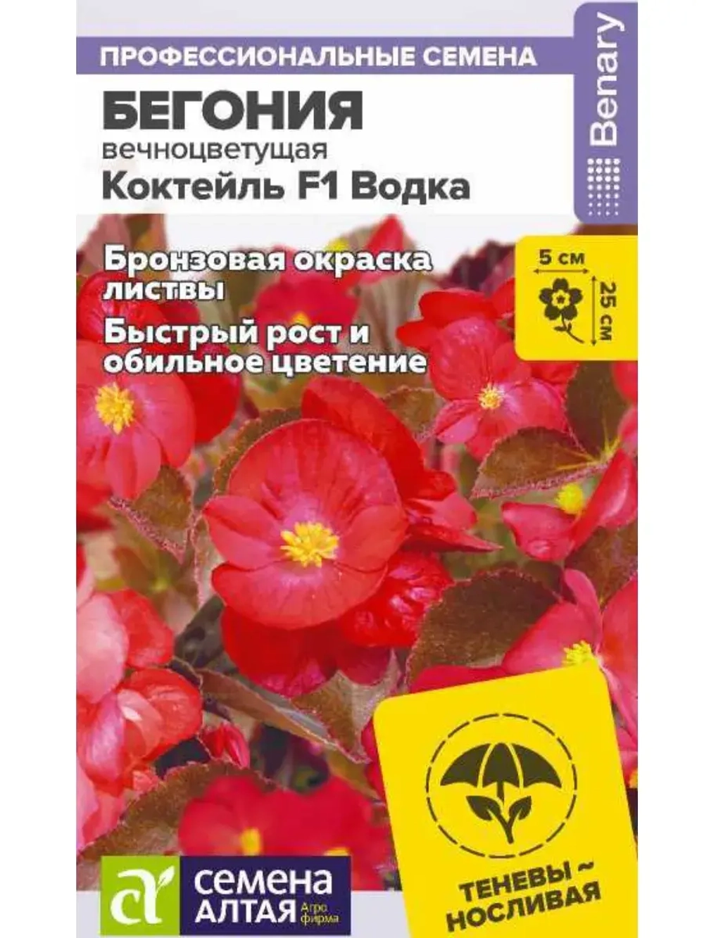 Семена бегонии вечноцветущей Коктейль F1 Водка