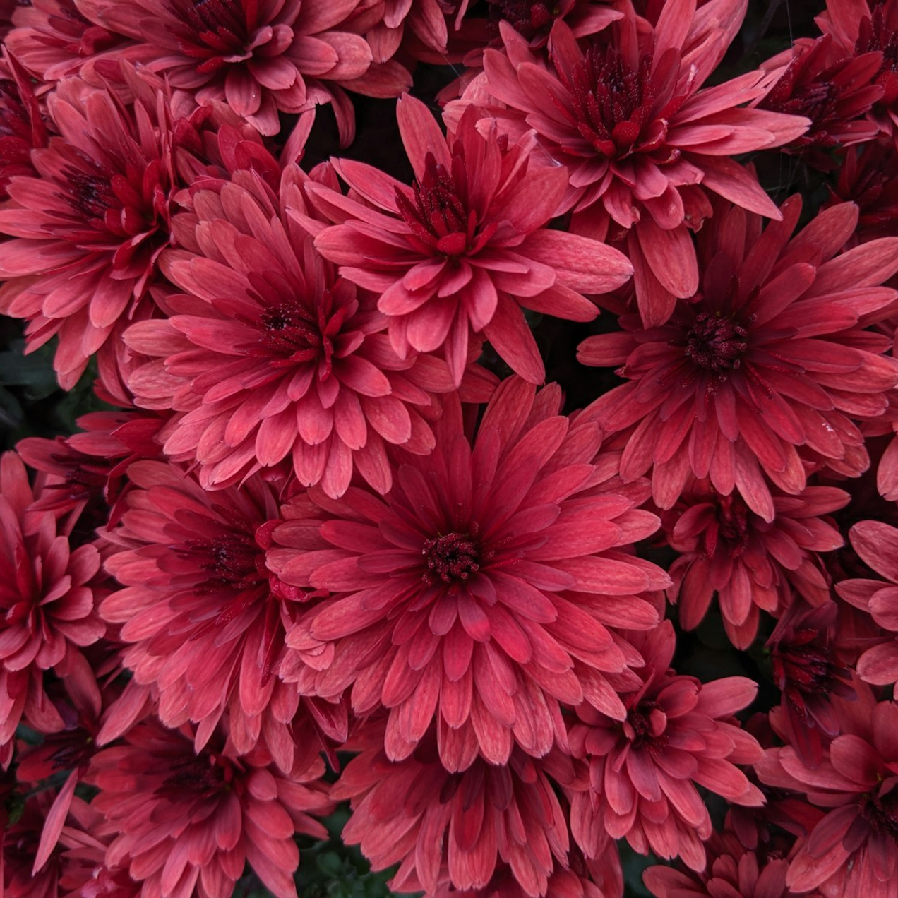 Закажите съедобный или фруктовый букет с доставкой и сделайте день особенным!