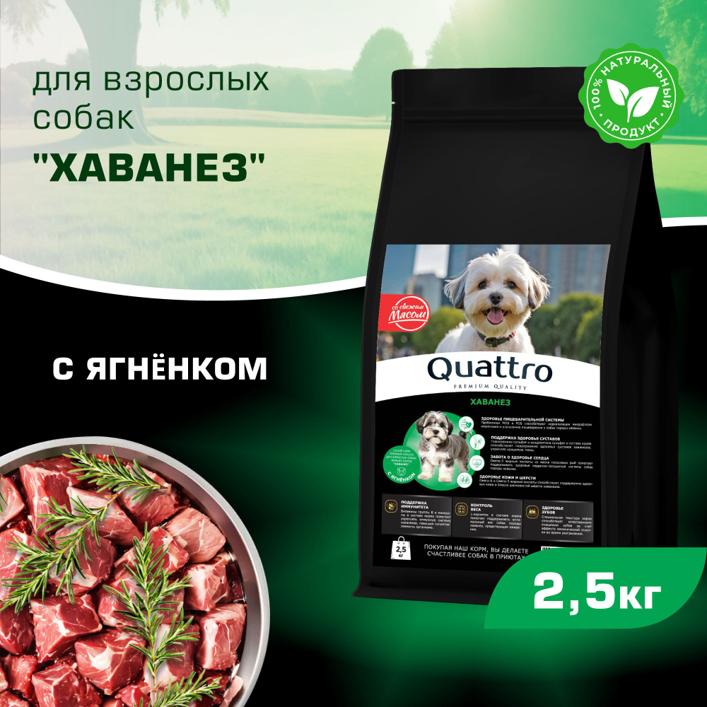 Корм сухой для взрослых собак породы Хаванез, с ягненком, 2,5 кг, QUATTRO