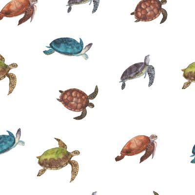 Акварельные черепашки на белом фоне