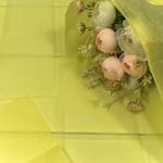 Бумага В листах 10 шт "Тишью" 50 х 66 см (Желтый)