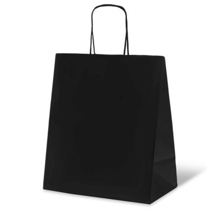 Упаковка ECO CarrBag tw 240*140*280мм Пакет С КРУЧЕНЫМИ ЧЕРНЫЙ ручками