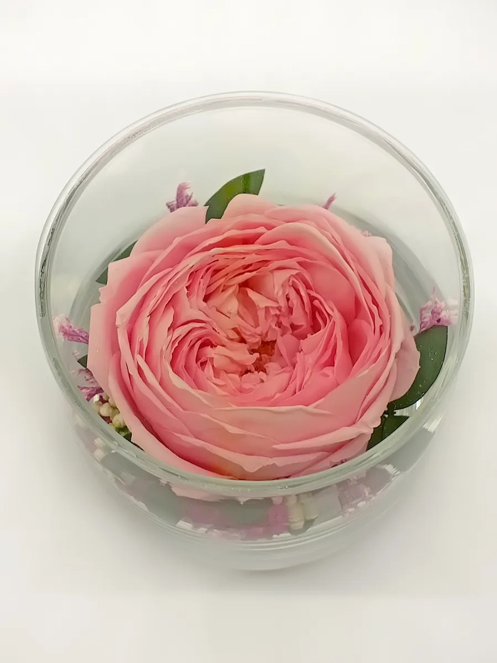 натуральный пион в стекле, вакуум*