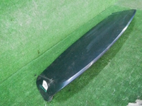 DSCN8993.JPG