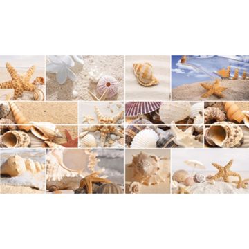 Плитка облиц НИКОЛЬ панно фантазия 500х900