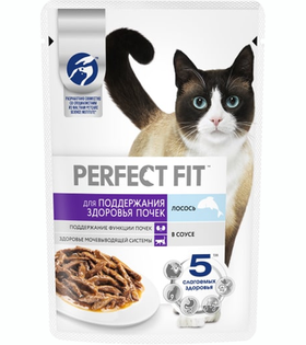 Перфект Фит Здоровье почек Лосось 75гр.
