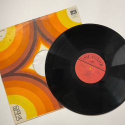 Винтажная виниловая пластинка LP Песняры, Игорь Лученок Гусляр (СССР 1980) (Безликий Конверт)