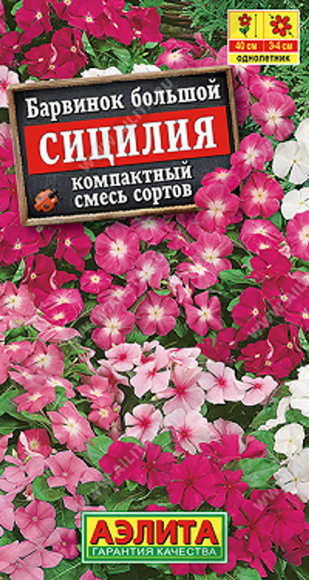 Барвинок Сицилия, смесь сортов