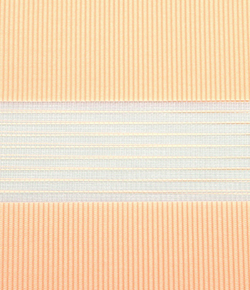 Рулонные шторы День-Ночь Абрикос