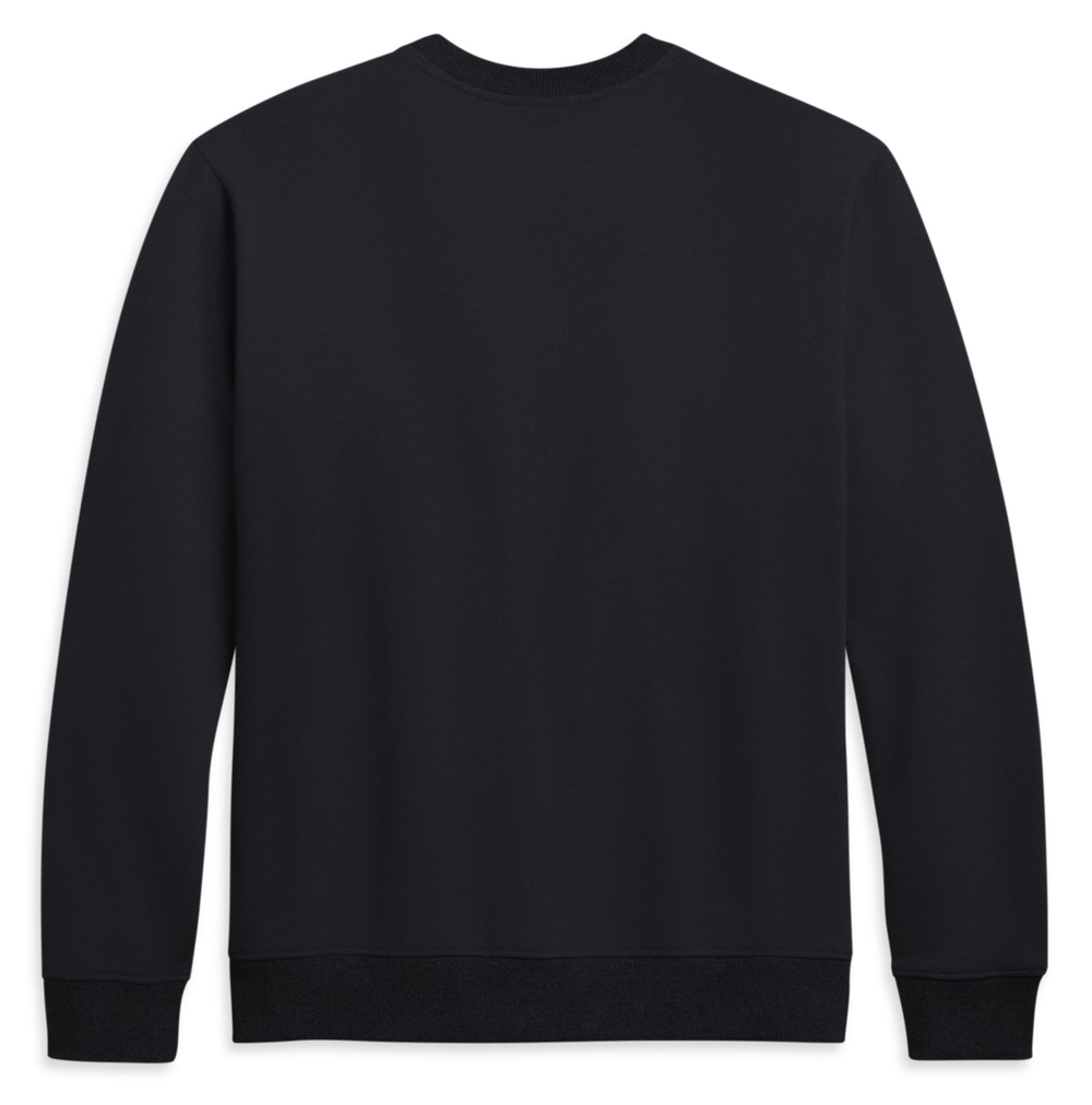 Толстовка Logo Pullover Harley-Davidson -50%