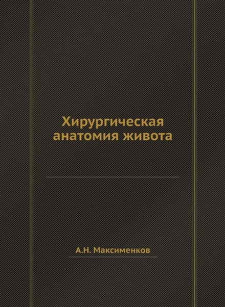 Хирургическая анатомия живота | А.Н. Максименков