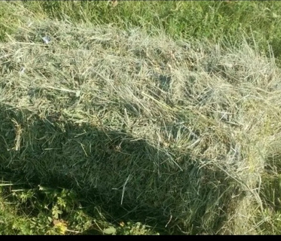 Сено луговое разнотравье 17 кг в пакете Самовывоз Софийская 93Д