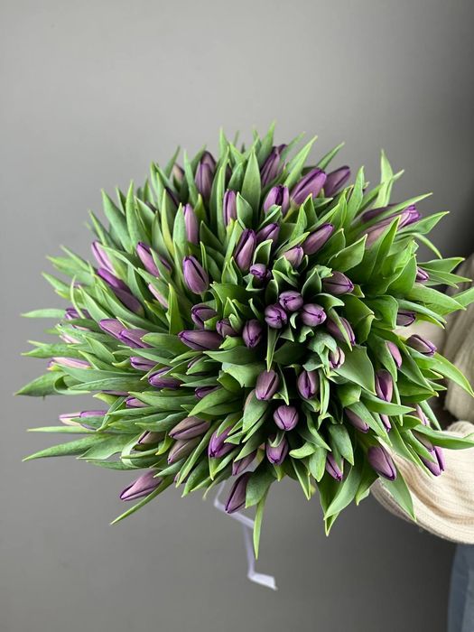 Букет фиолетовых тюльпанов (под ленту)