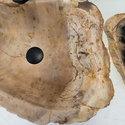 Раковина из окаменелого дерева Fossil Basin  53*39*15 см OD-02366