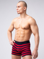 Мужские боксеры из мягкого хлопкового трикотажа в полоску (Размер: XL) (Цвет: синий с красным)