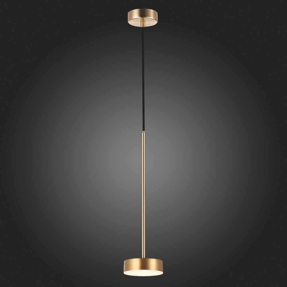 Светильник подвесной ST Luce Pances SL6000.303.01