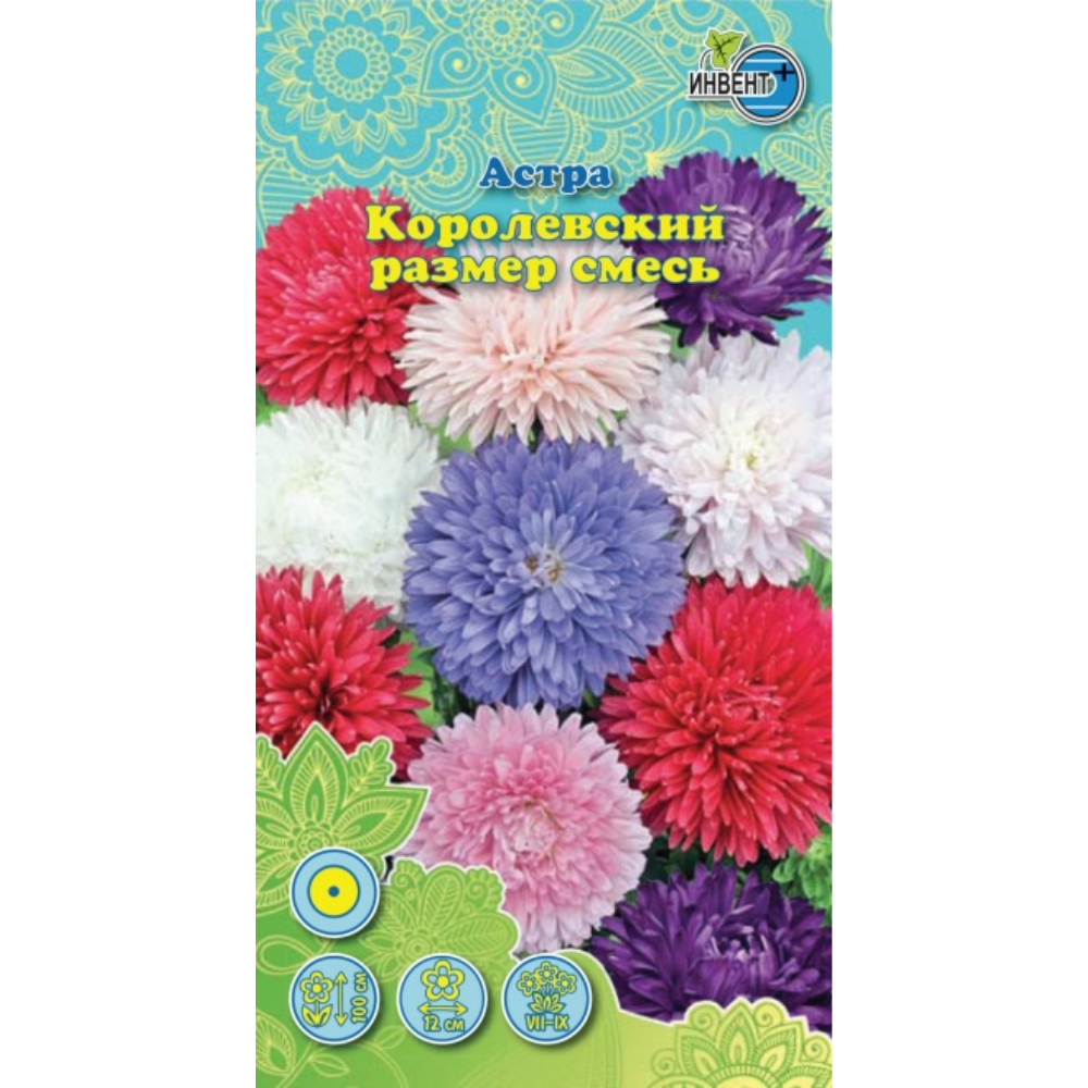 Семена Астра Королевский размер смесь Инвент+