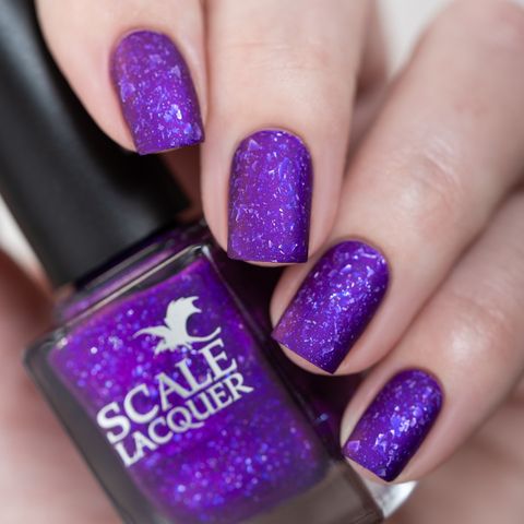 Can We Play D&D Now? (LE)