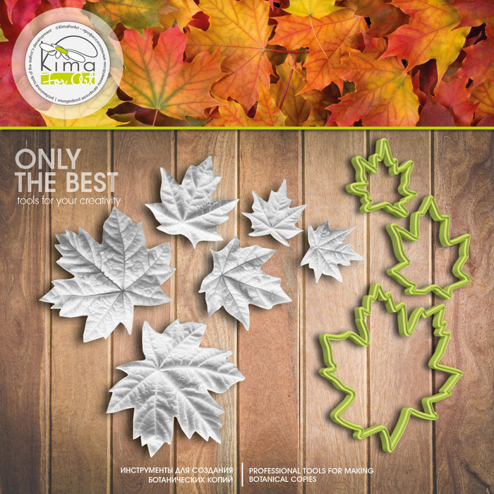Клен канадский листья набор