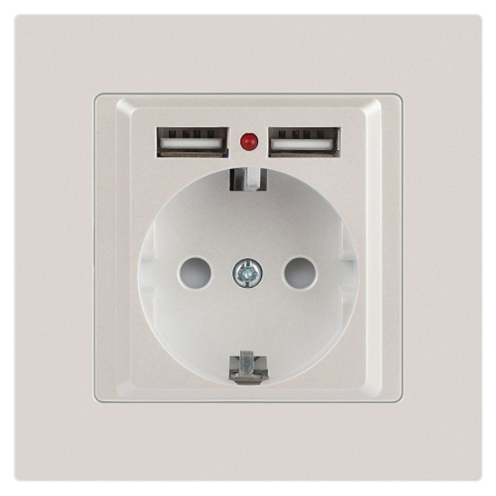 Розетка Intro Accent 6-410-06 , P+E Schuko со шторками, 16А-250В + 2хUSB, IP20, СУ, перламутр