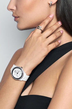Наручные часы Fossil CE1113