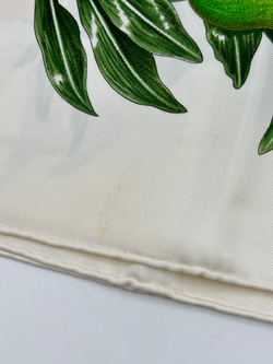 Платок Passiflores Hermes