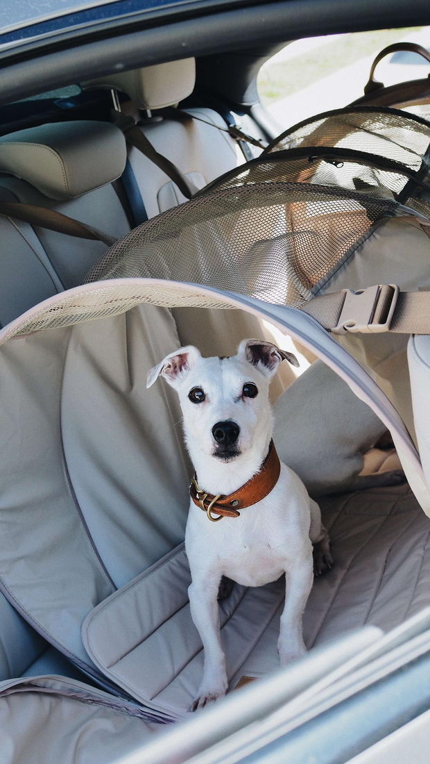 Перевозка для автомобиля Пони авто-доми Бежевый