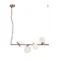 Подвесной светильник Цветение / Blossom Freya fr5259pl-04bs