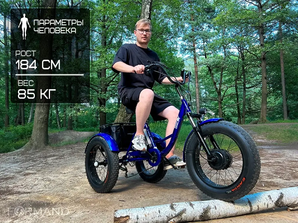 Электрический трицикл фэтбайк GreenCamel Трайк-F20 (500W 12Ah), Синий