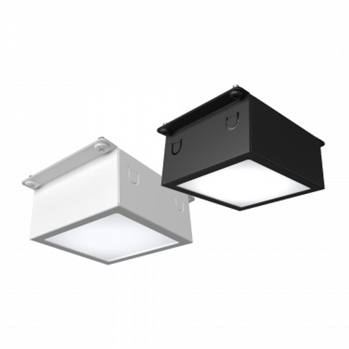 Домино 100x100