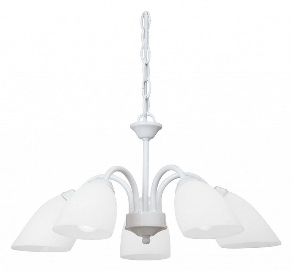 Подвесная люстра Vitaluce V3336 V3336/5