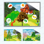 Комплект развивающий Природа: Лиственные деревья. Хвойные деревья. Кустарники 2198