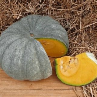 Тыква крупноплодная Мраморная 25 грамм