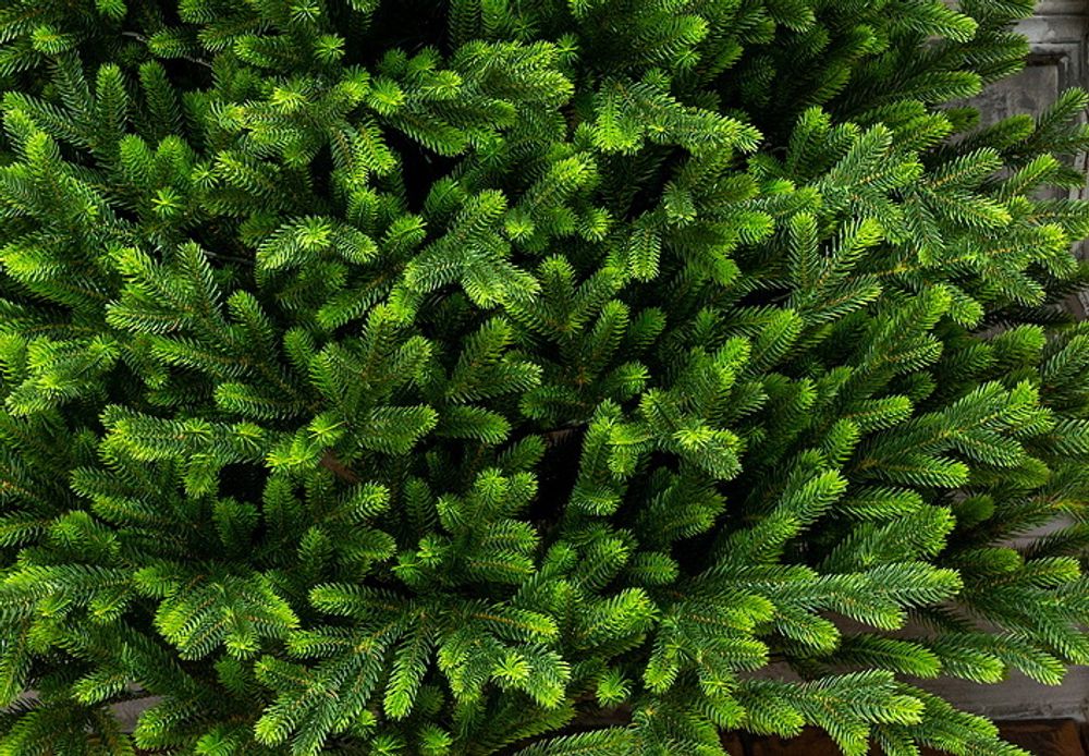 Ель искусственная «Мисхор» (Литая хвоя) 180 см / 1.8 м