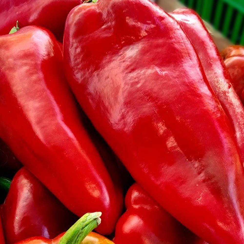 Каптур F1 семена перца сладкого (Seminis / Семинис)