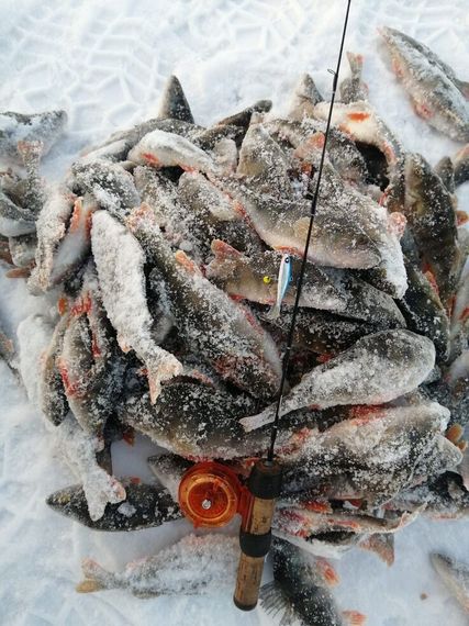 Балансир Lucky John NORDIC 4 с тр. 40мм/15H блистер