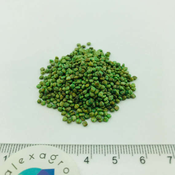 Бонвита семена корн салата (Enza Zaden / Энза Заден) семена – фото 4