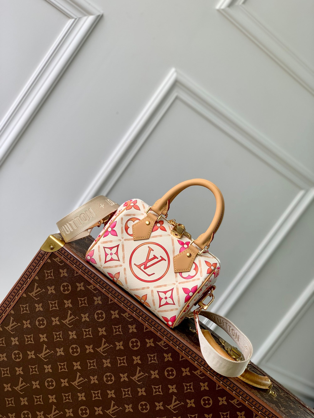 Louis Vuitton Speedy 20