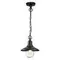 4965/1 NATURE ODL22 713 черный/стекло Ландшафтный подвес E27 1*60W IP44 CAMPA